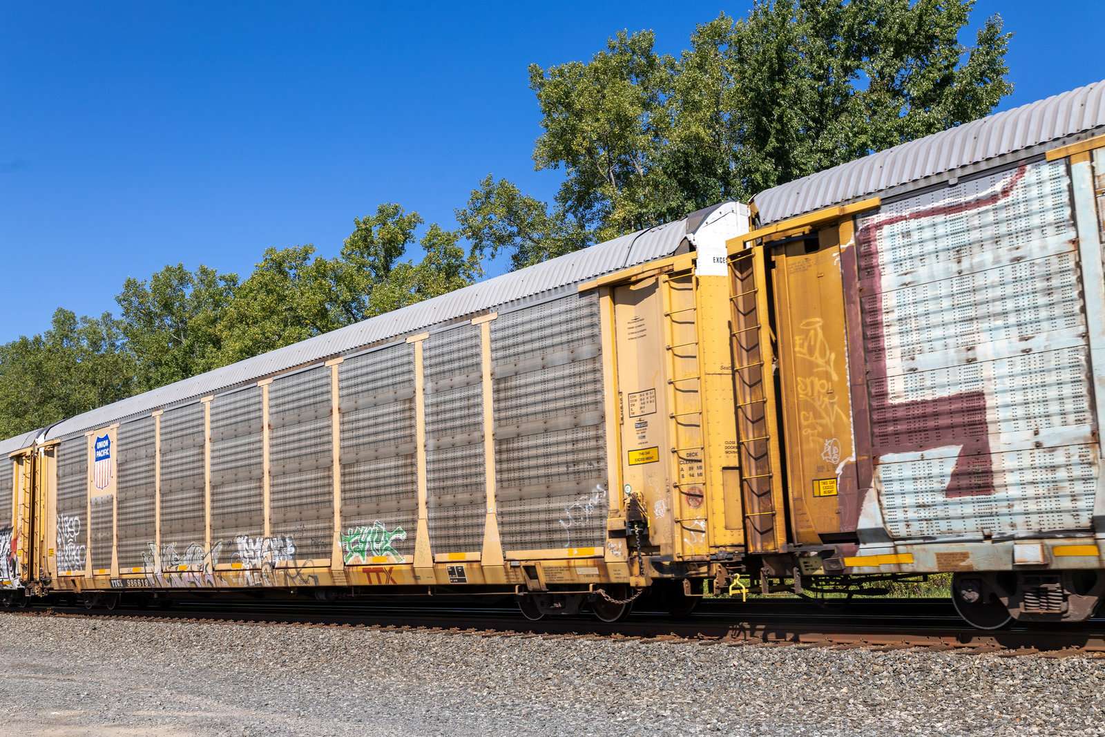 TTGX 986618