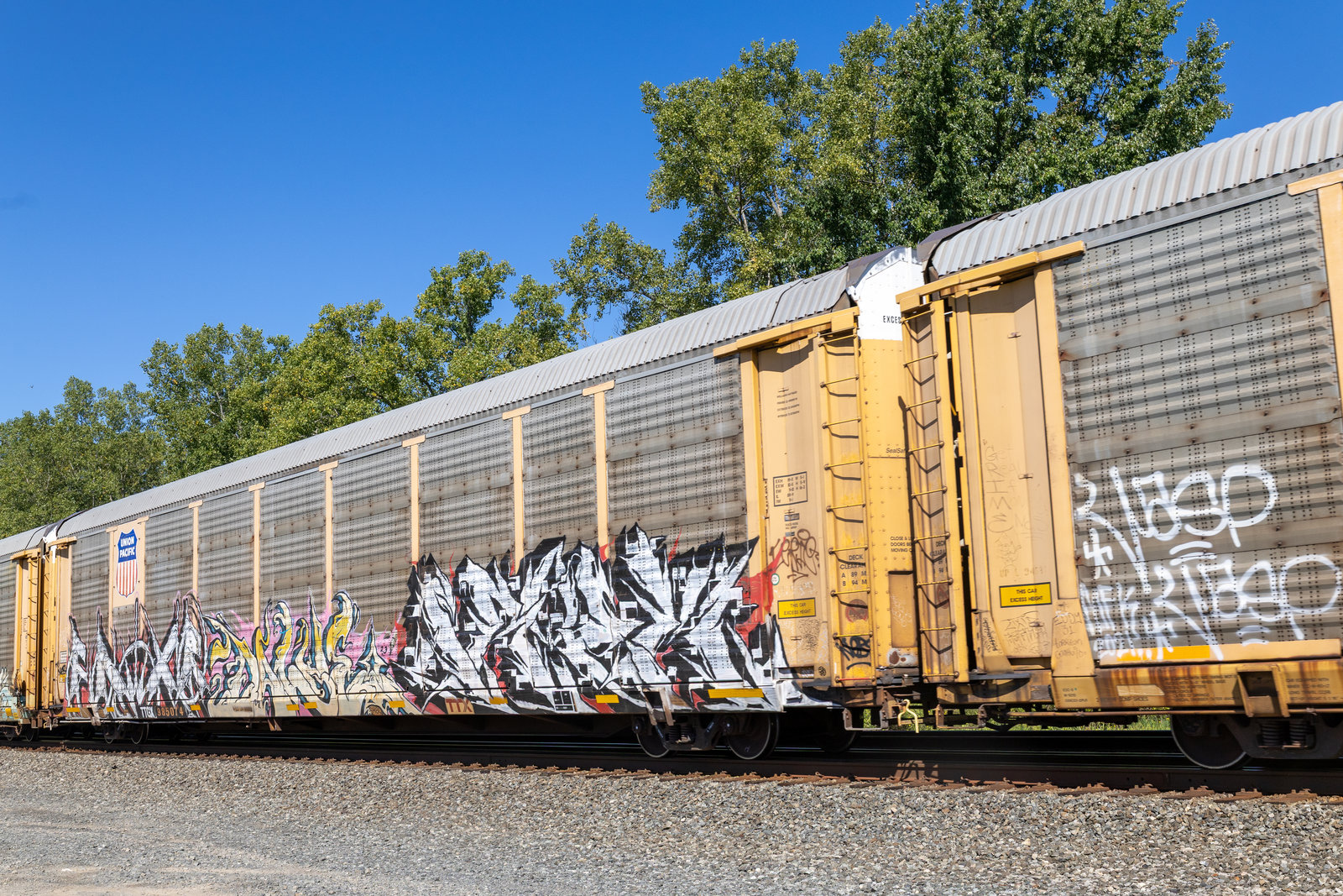 TTGX 985074