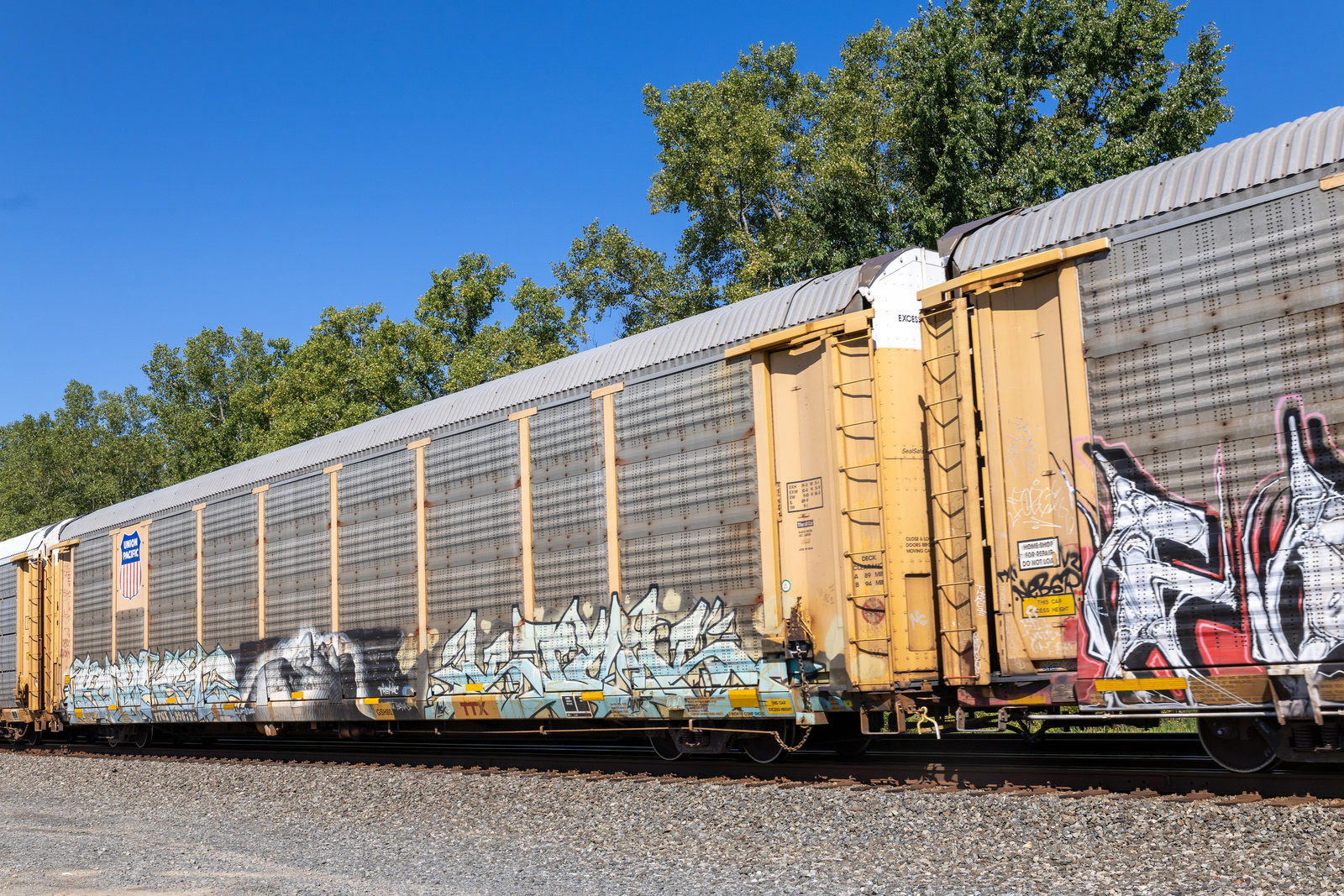 TTGX 996795
