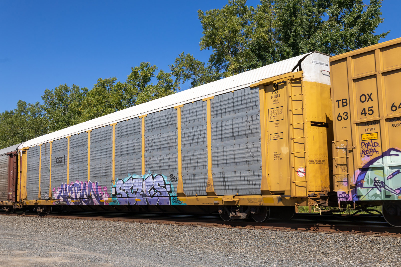 TTGX 973386