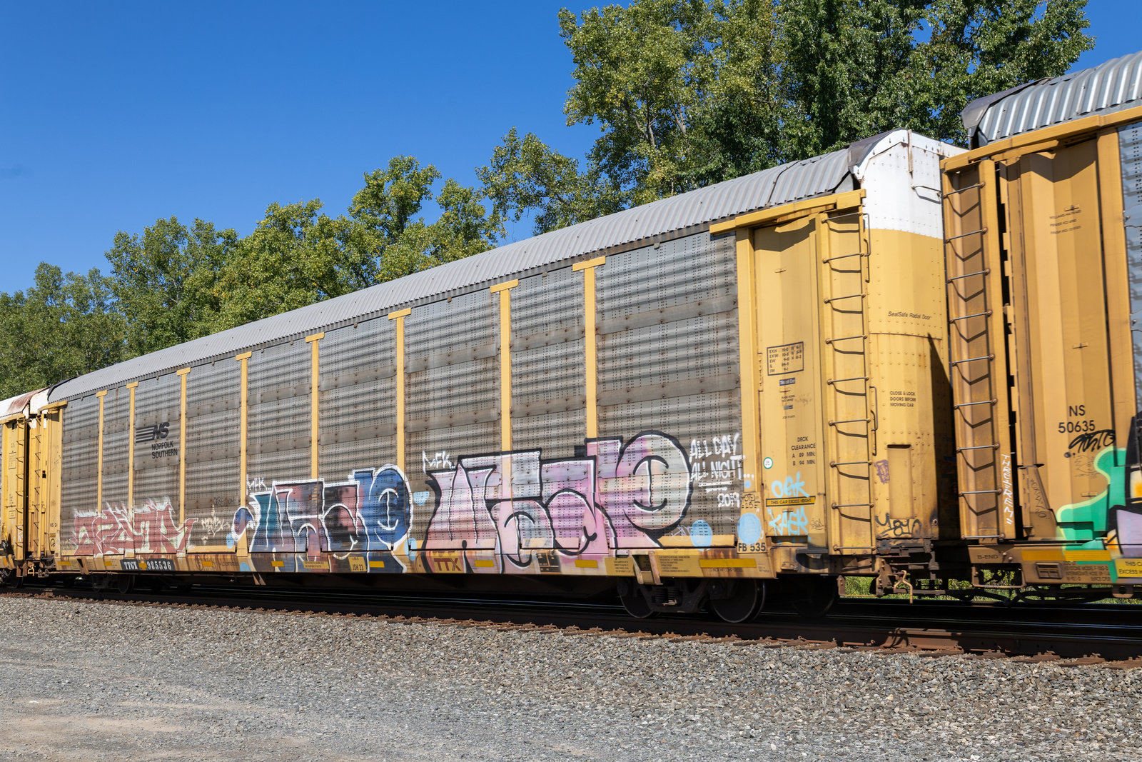 TTGX 985536