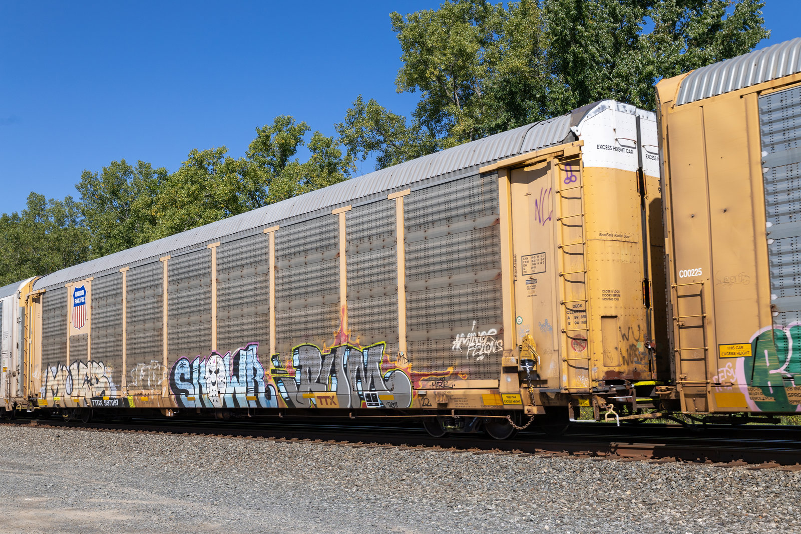 TTGX 997097