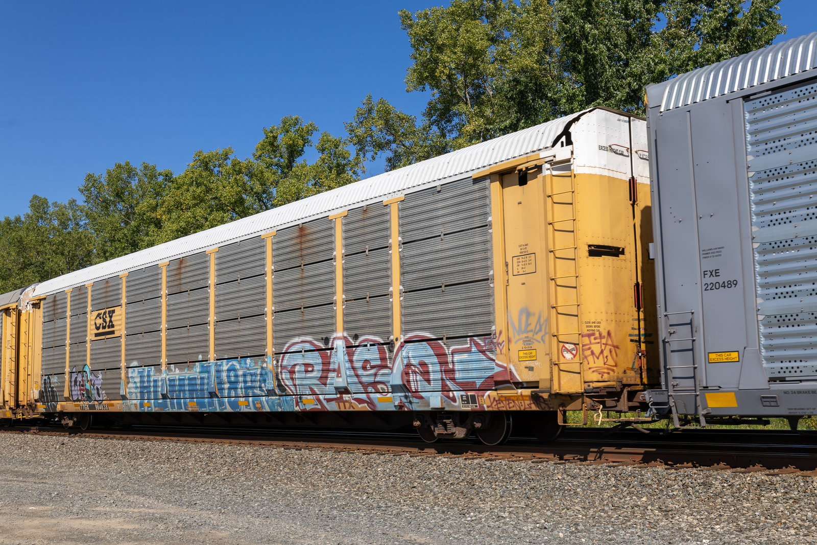 TTGX 964638