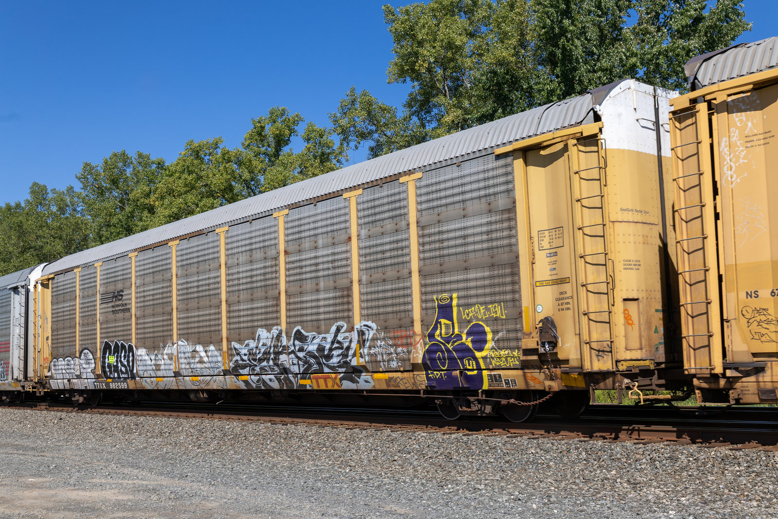 TTGX 982599