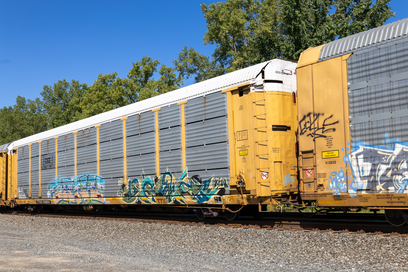 TTGX 159654