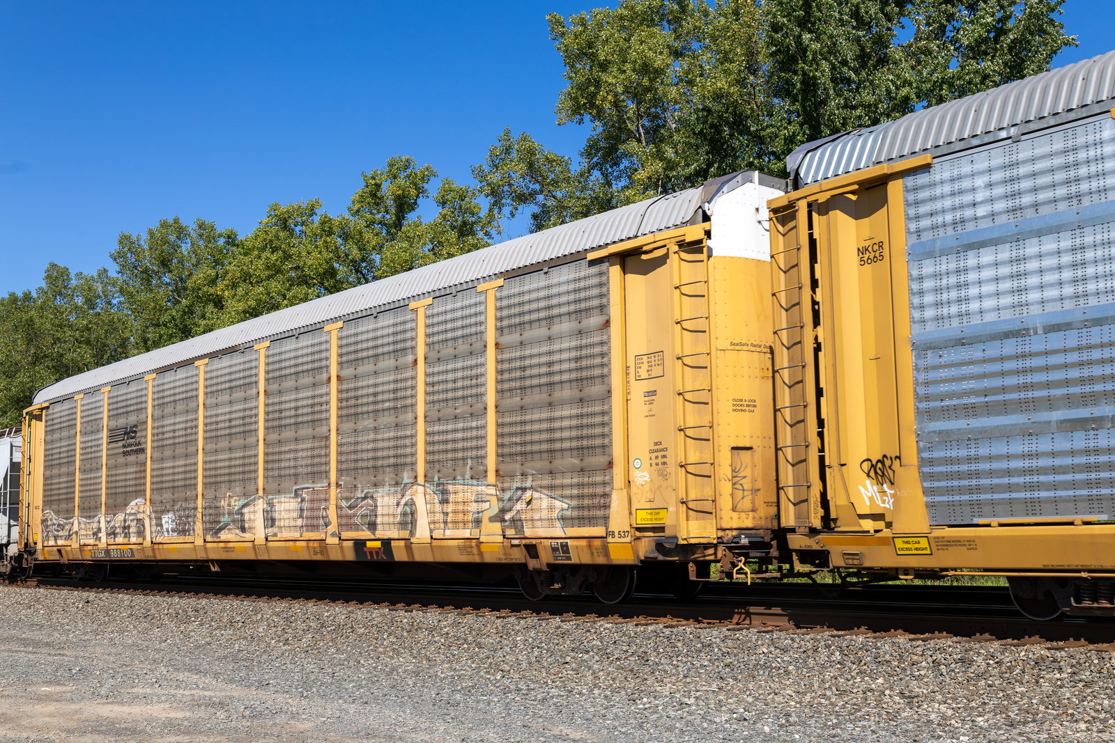 TTGX 988100