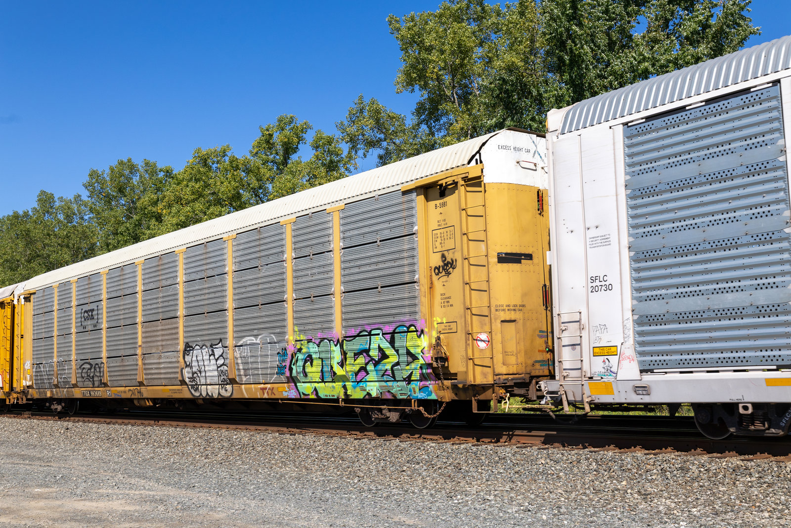 TTGX 963689