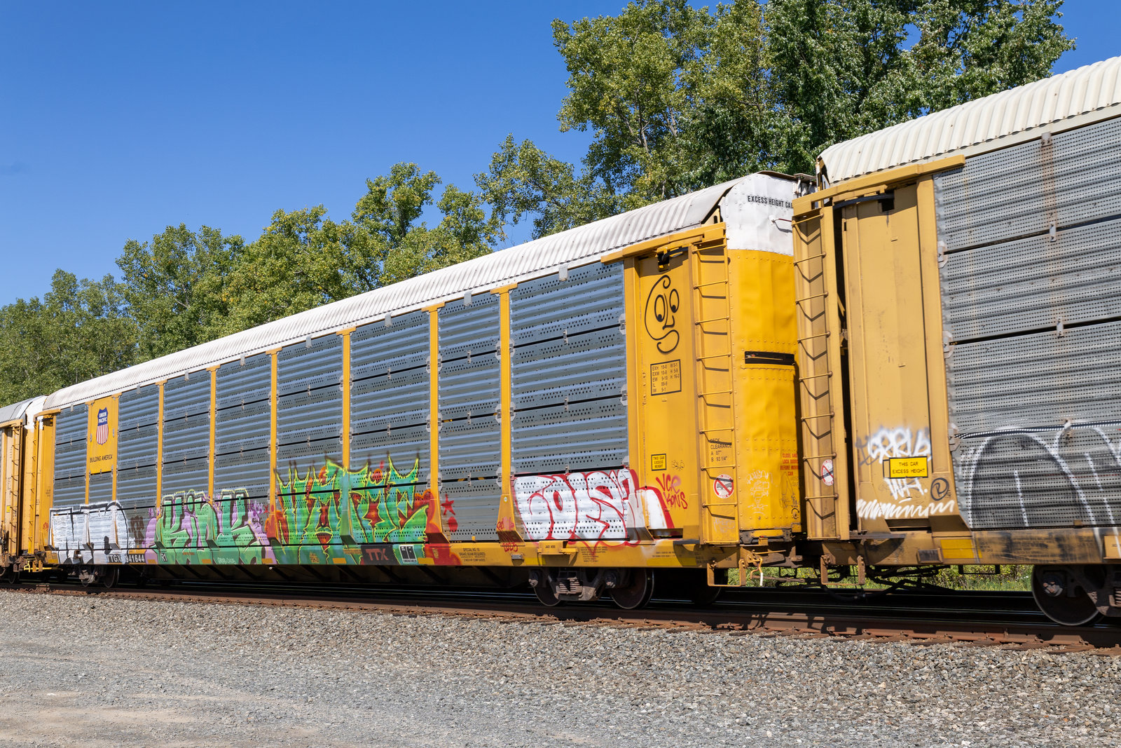 TTGX 941644