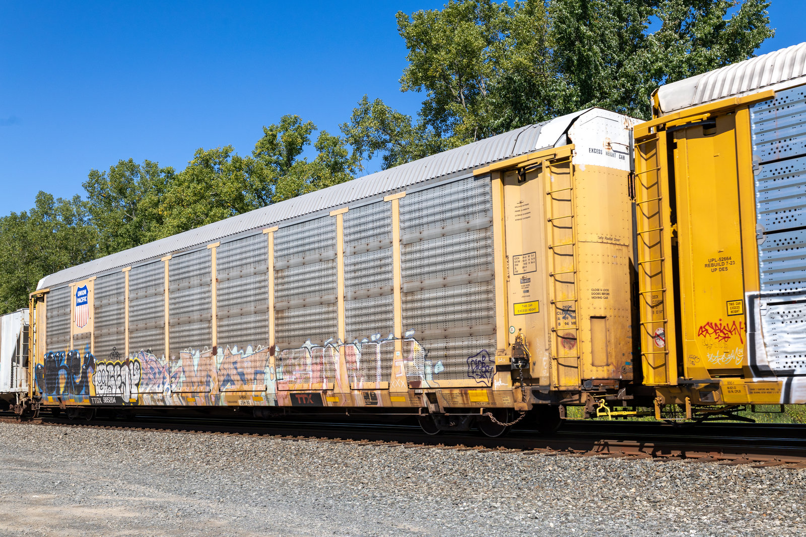 TTGX 985204