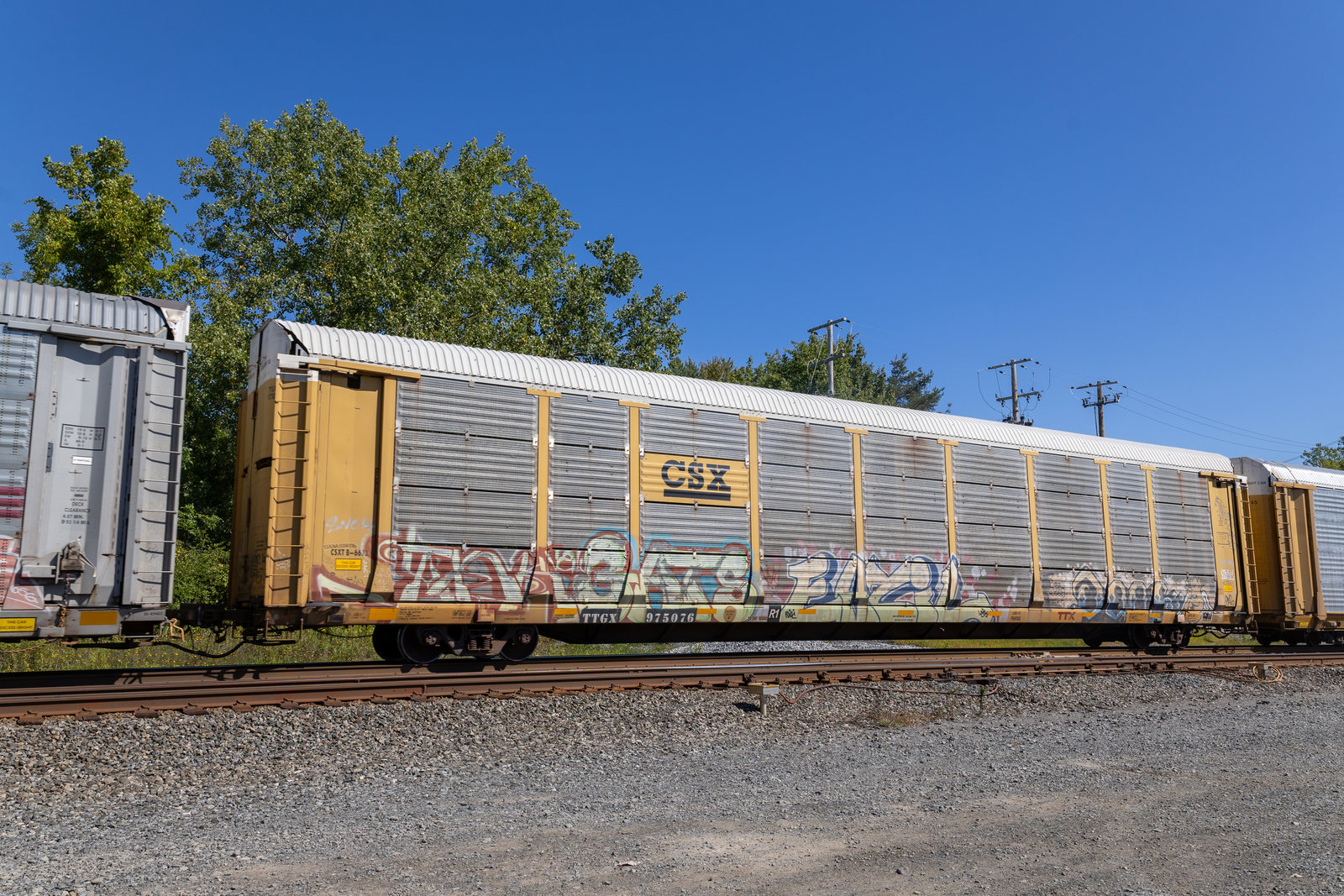 TTGX 975076