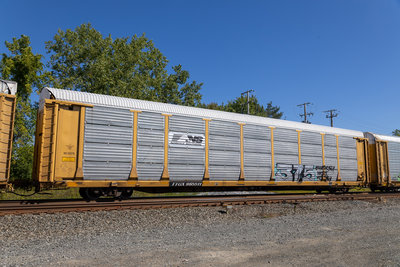 TTGX 965511