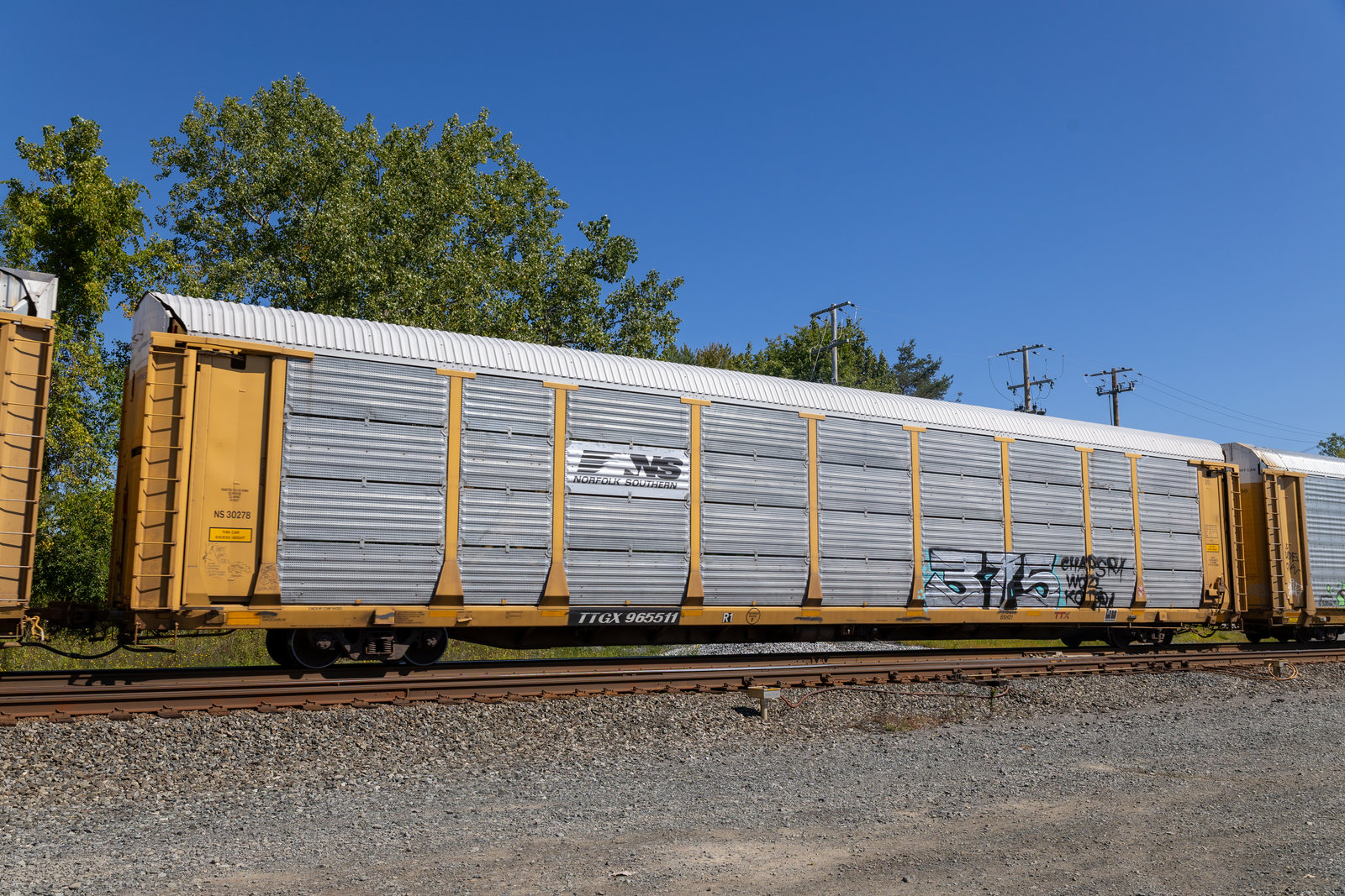 TTGX 965511