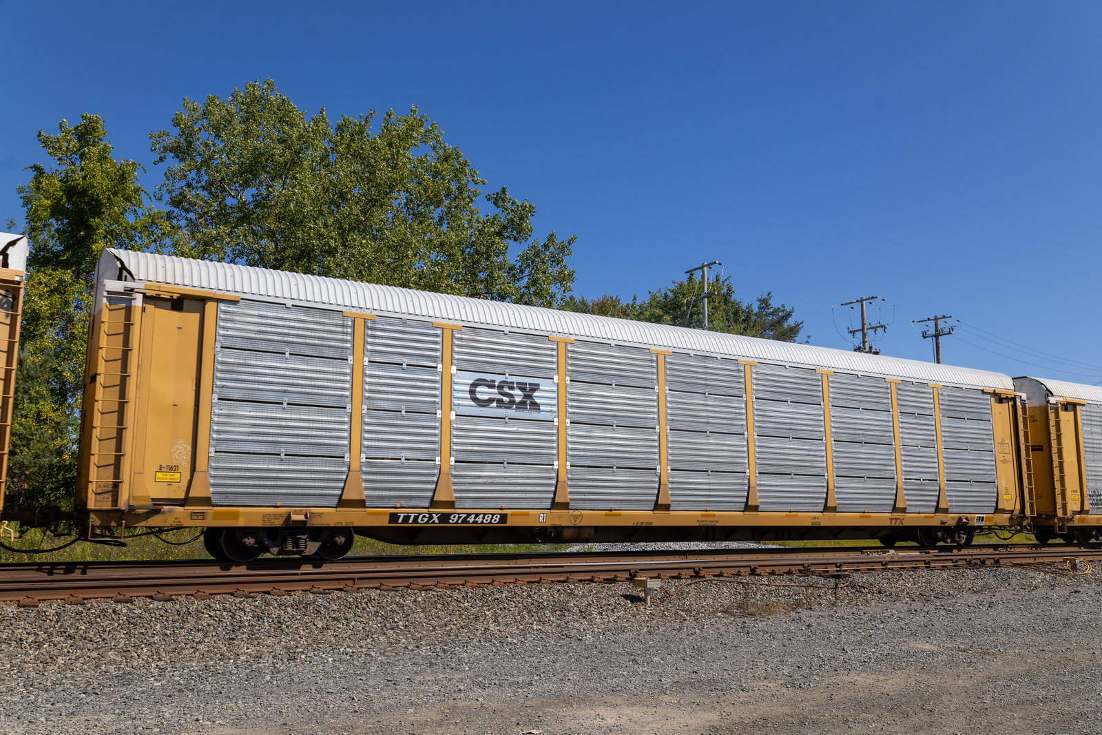TTGX 974488