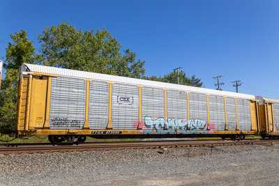 TTGX 973595