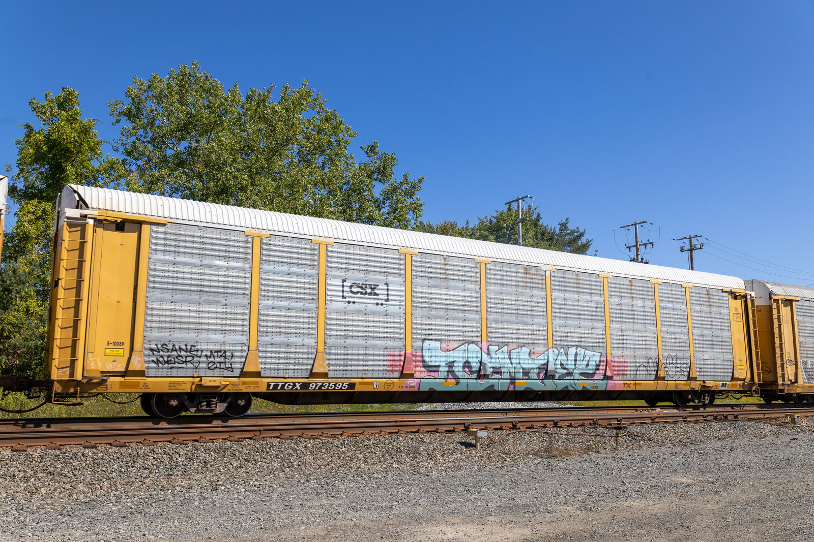 TTGX 973595