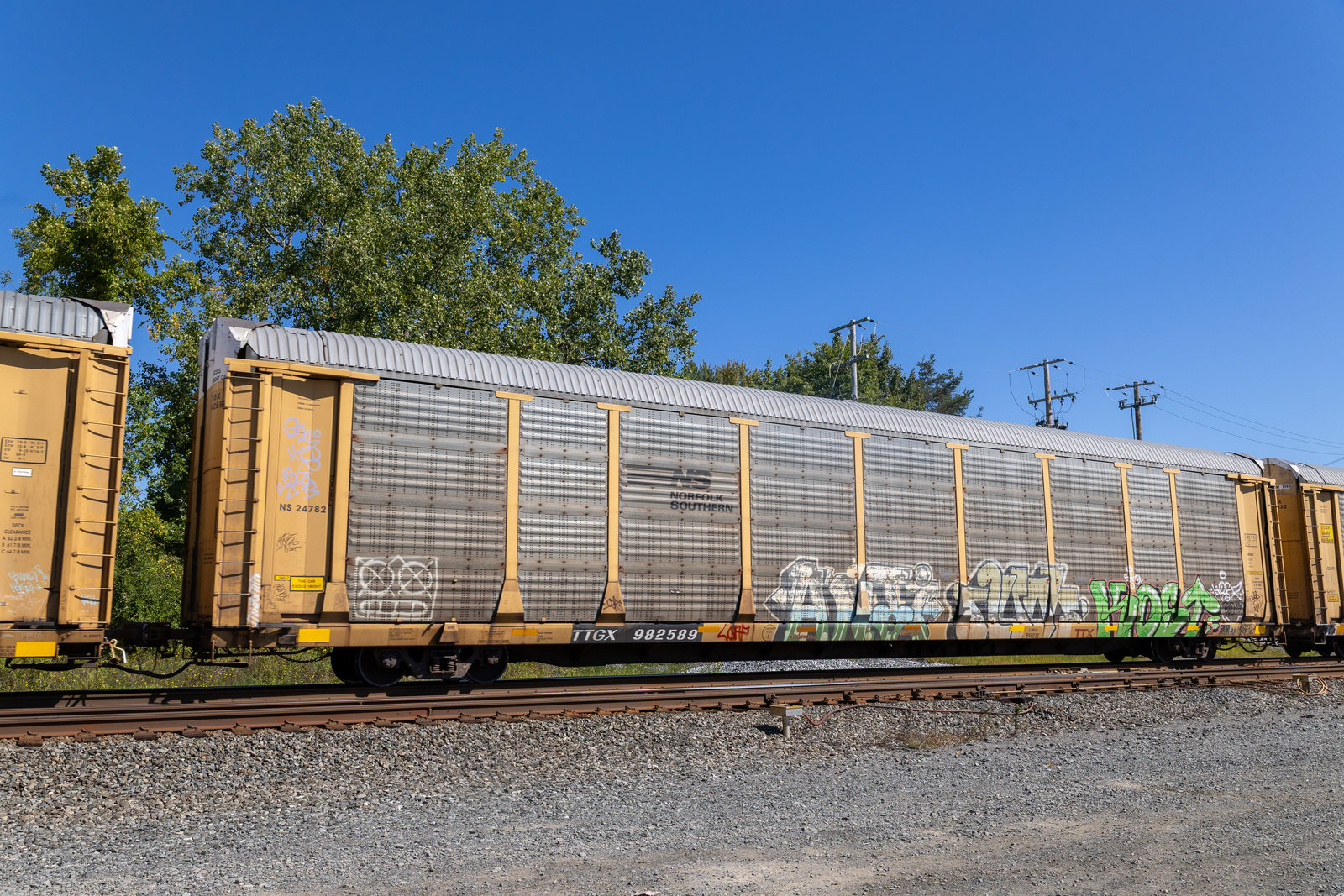 TTGX 982589