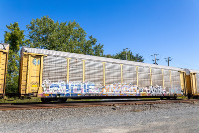 TTGX 987120