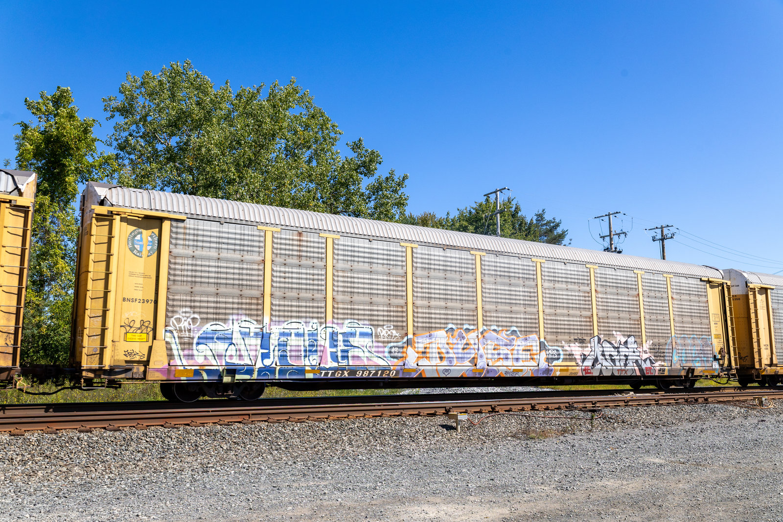 TTGX 987120