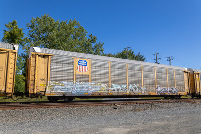 TTGX 996569