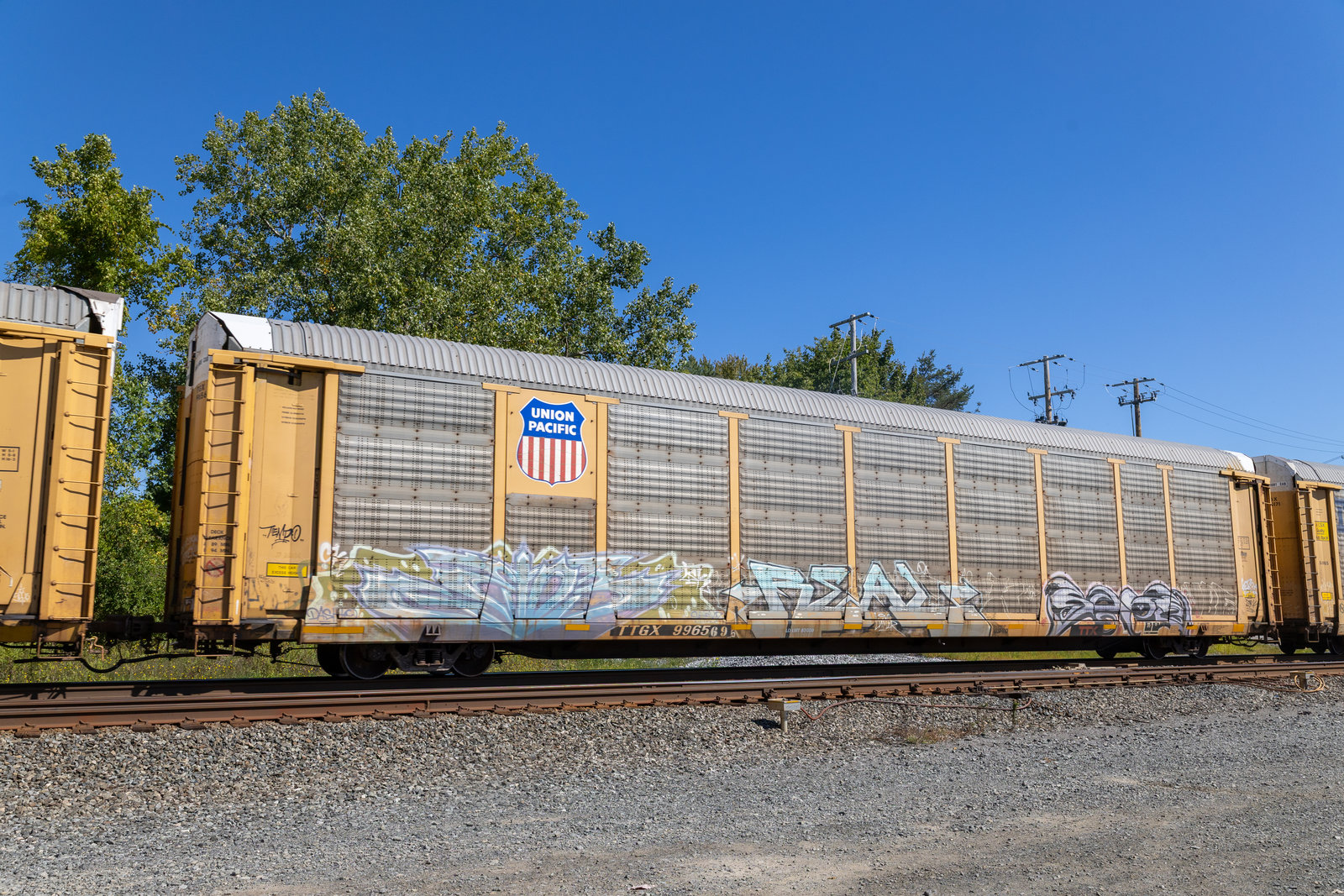 TTGX 996569