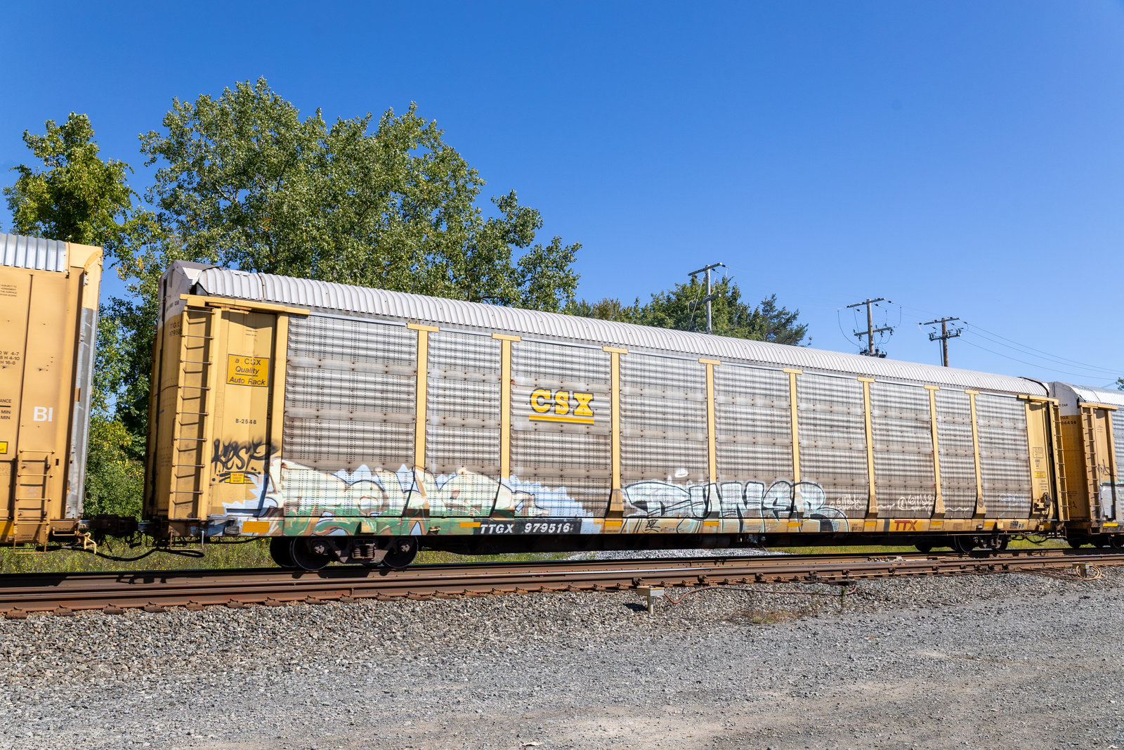 TTGX 979516