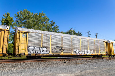 TTGX 986712