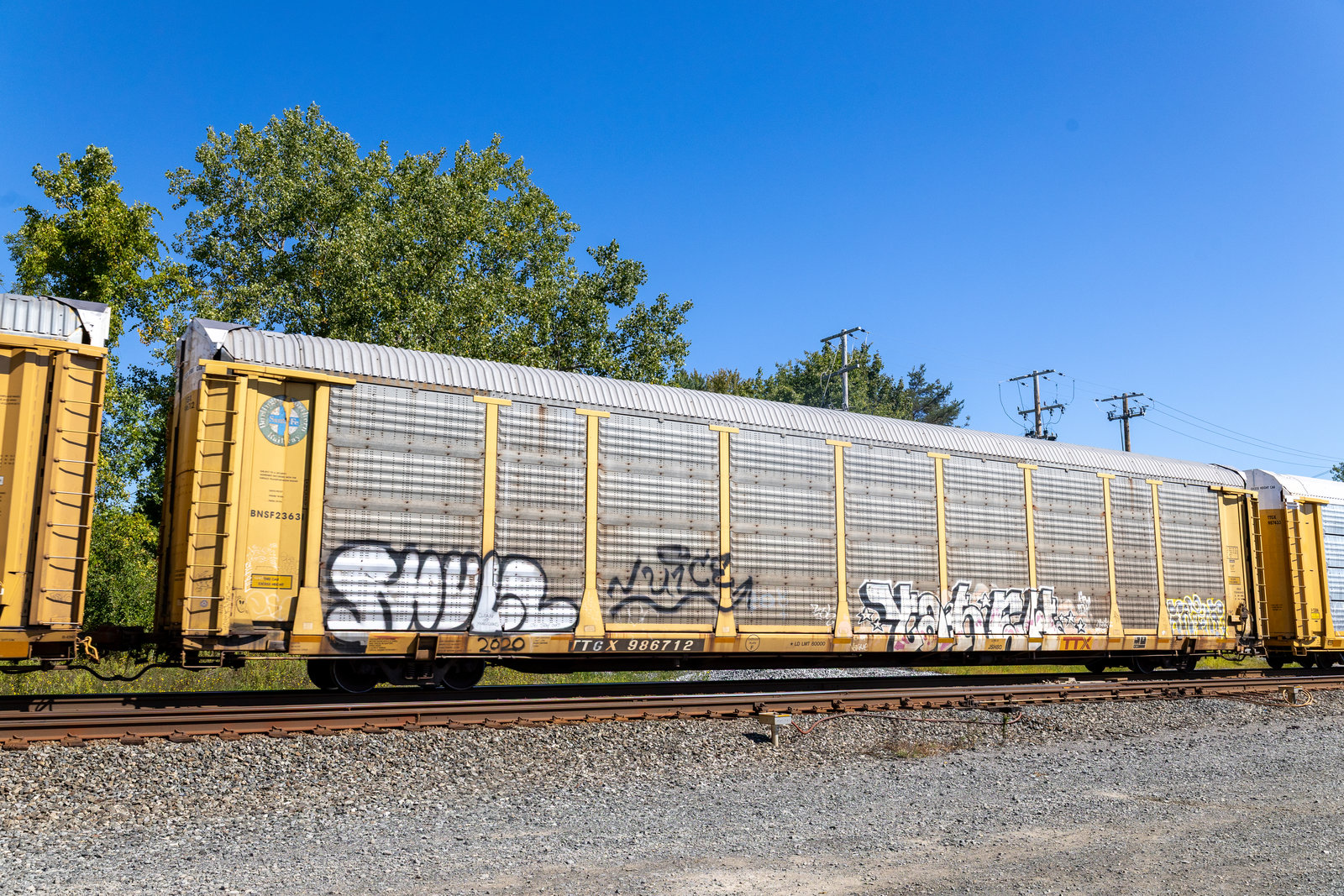 TTGX 986712