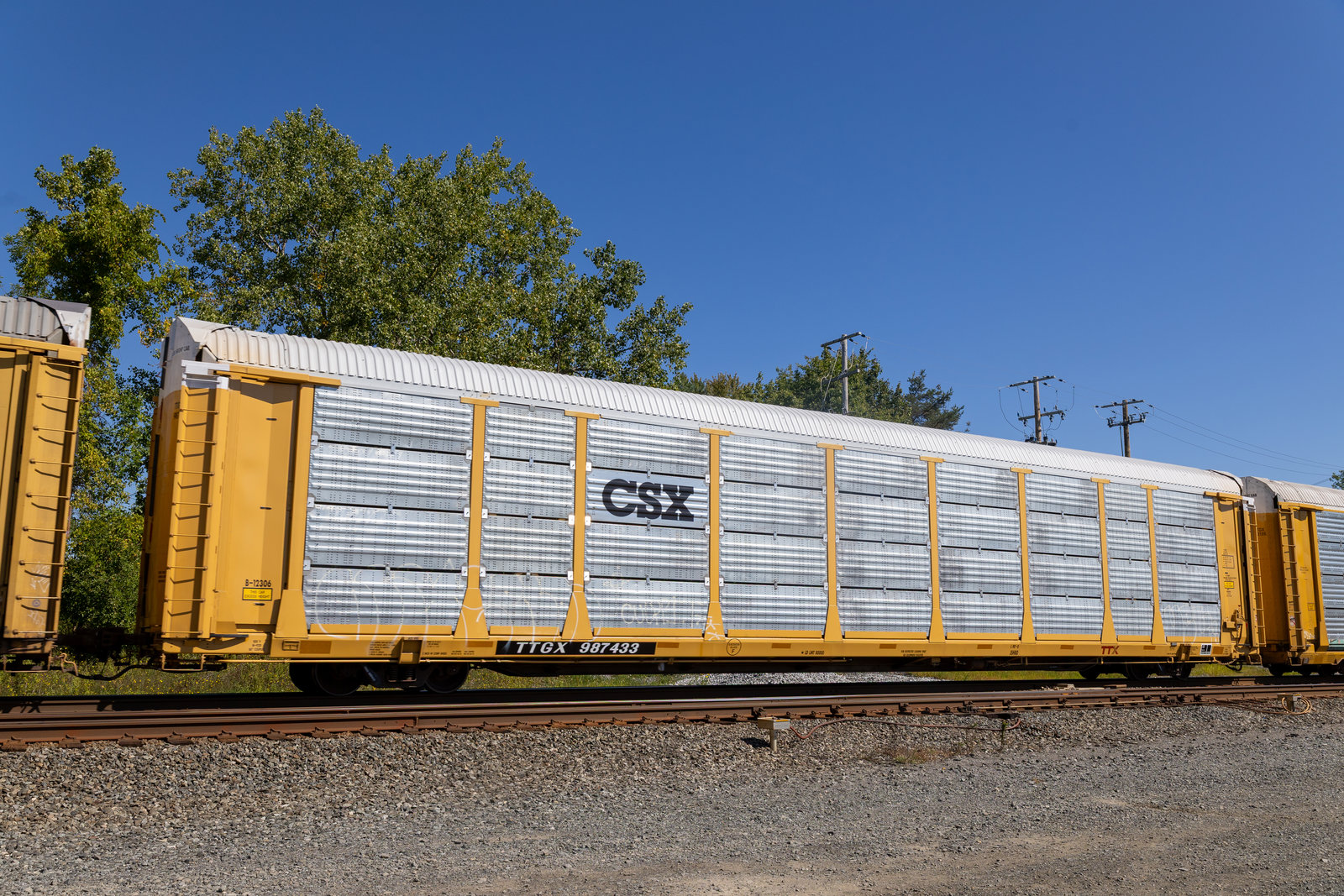 TTGX 987433