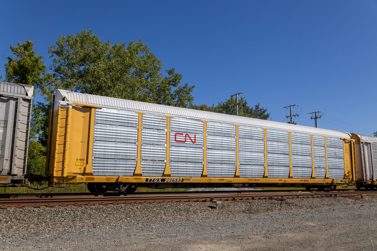 TTGX 982593