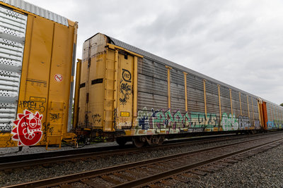 TTGX 941053