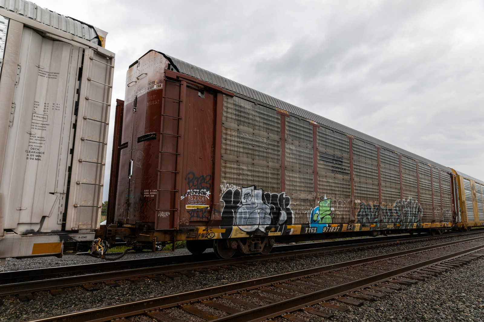 TTGX 971837