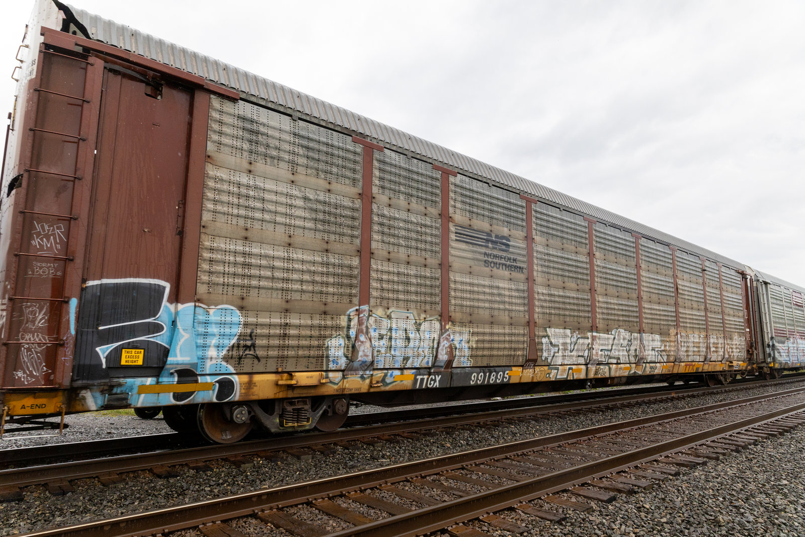 TTGX 991895