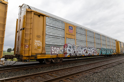 TTGX 982241