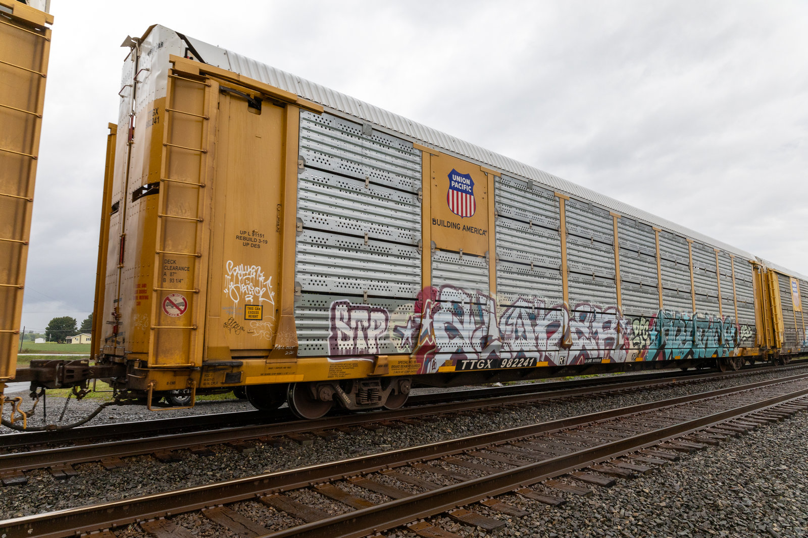 TTGX 982241