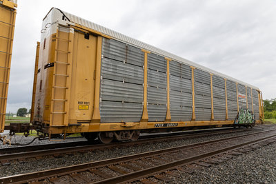 TTGX 990441