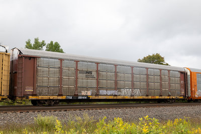 TTGX 981414