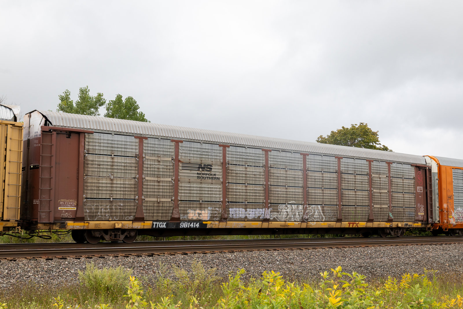 TTGX 981414