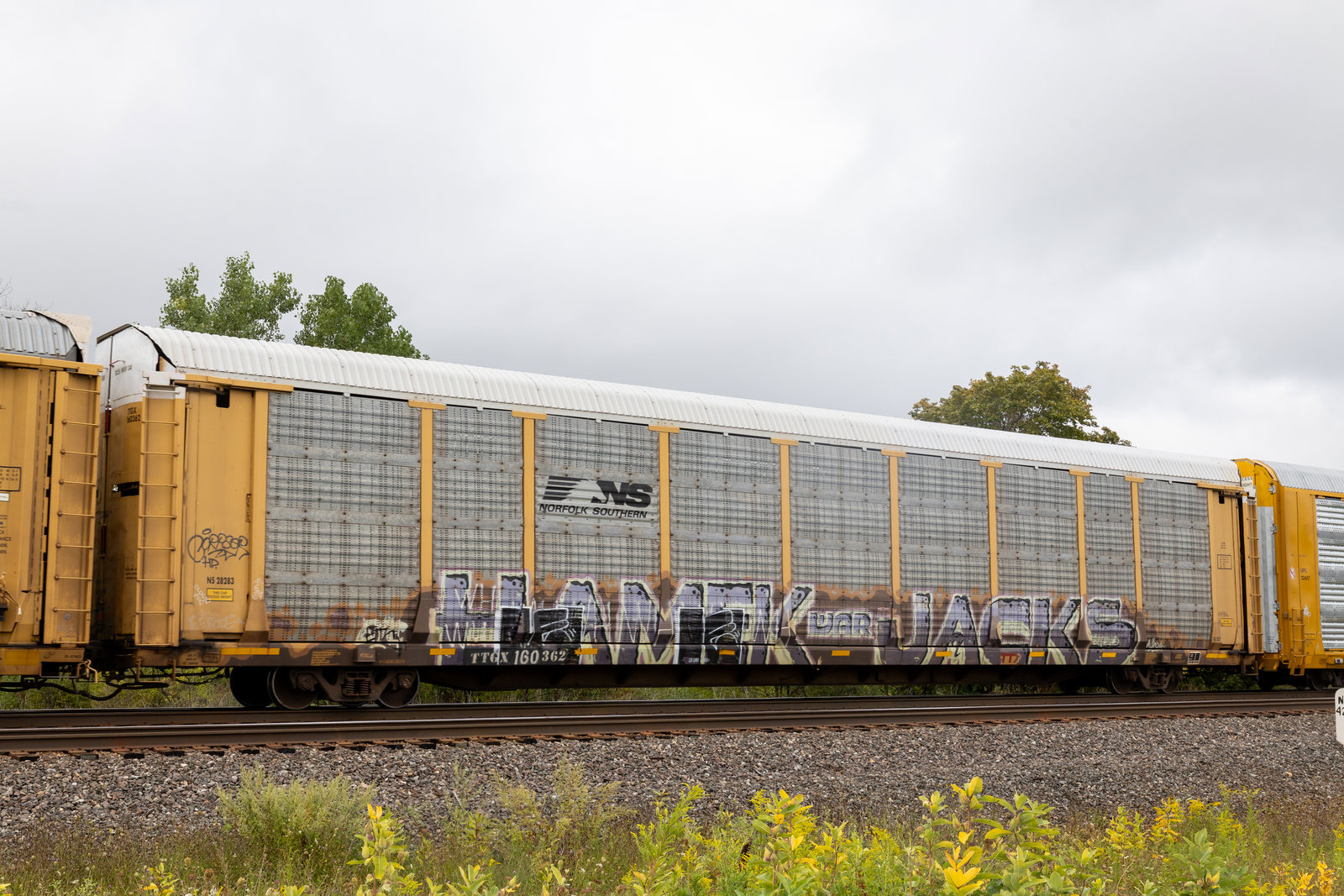 TTGX 160362