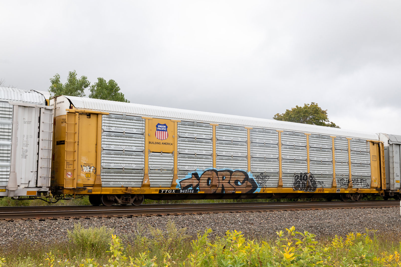 TTGX 942744