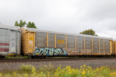 TTGX 985572