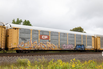 TTGX 980073