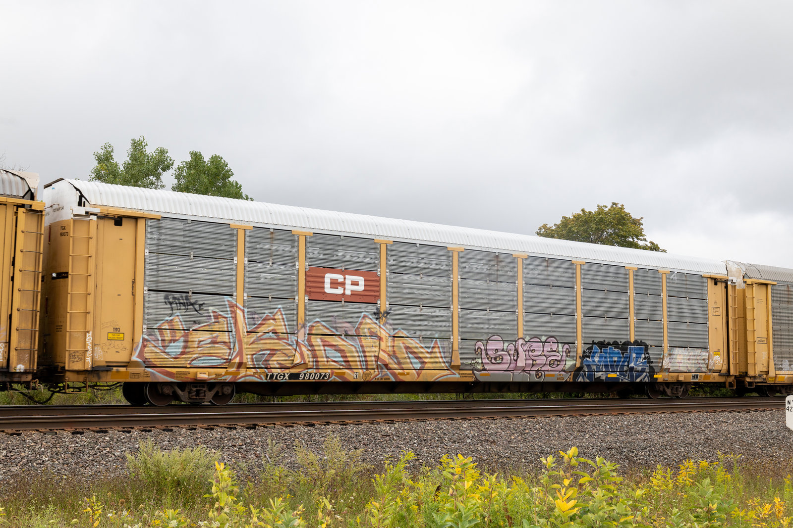 TTGX 980073