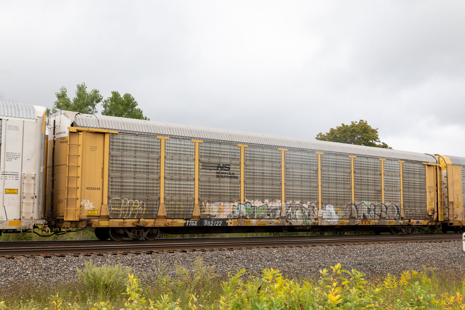 TTGX 992122