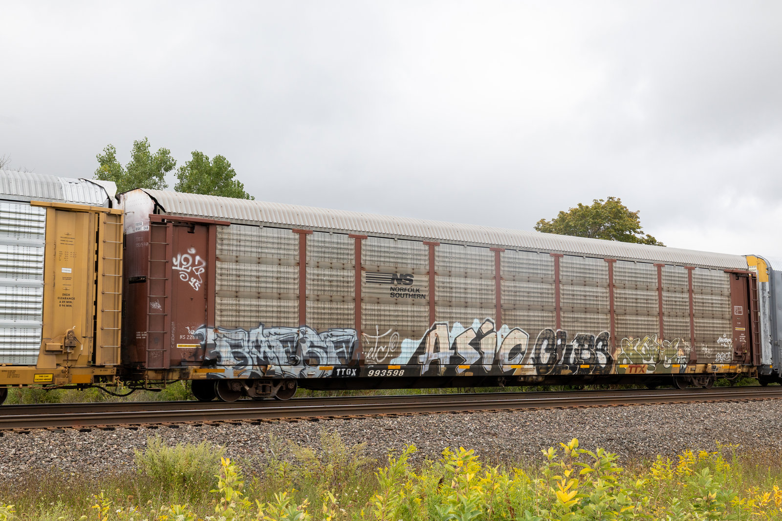 TTGX 993598