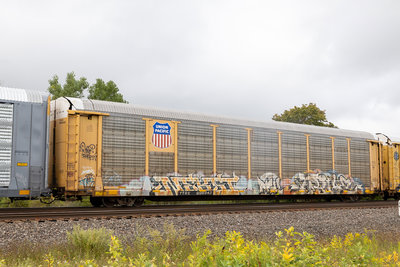 TTGX 996842