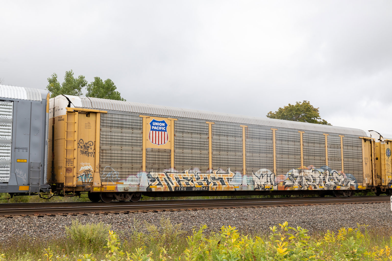 TTGX 996842