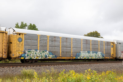 TTGX 158015