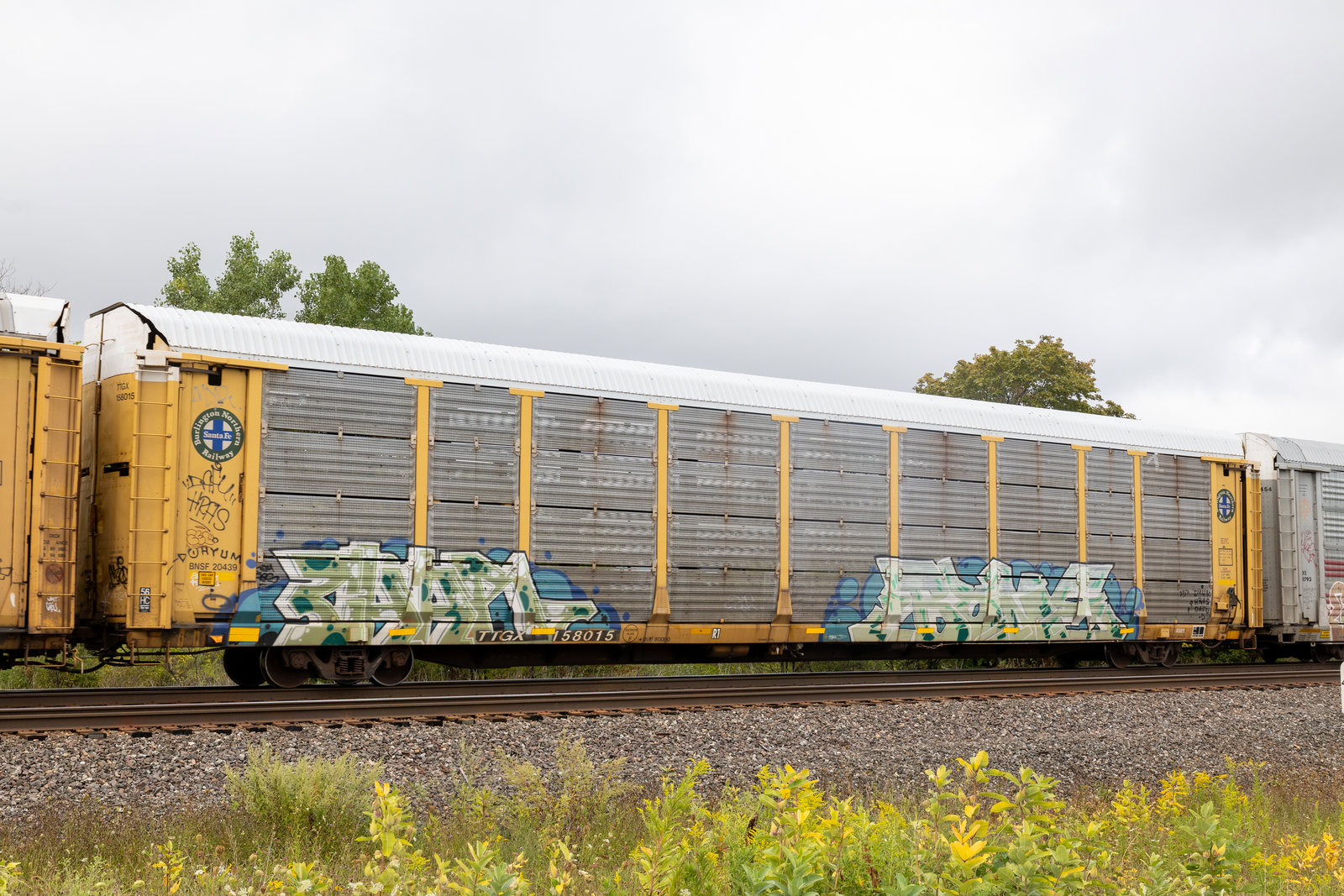 TTGX 158015
