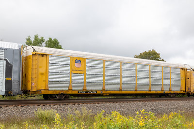 TTGX 974559