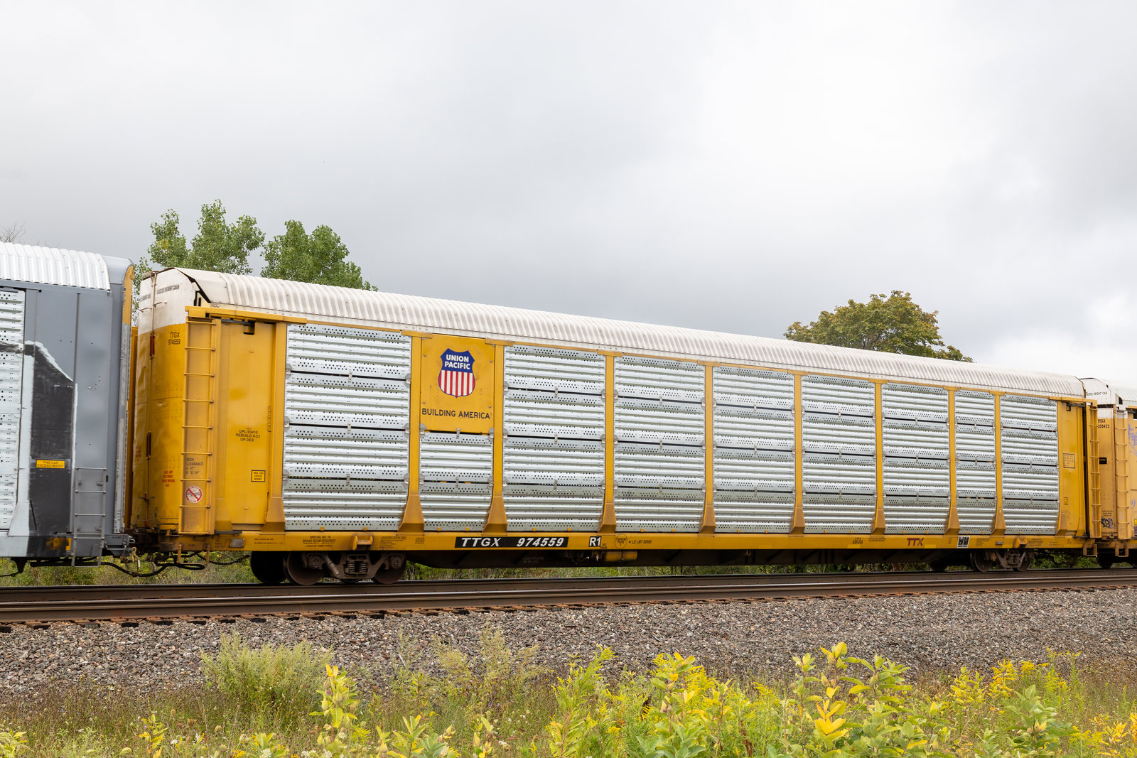 TTGX 974559